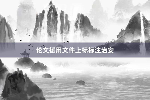 论文援用文件上标标注治安